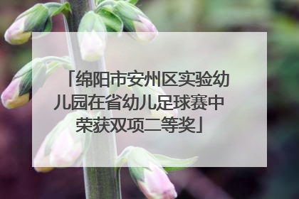 绵阳市安州区实验幼儿园在省幼儿足球赛中荣获双项二等奖