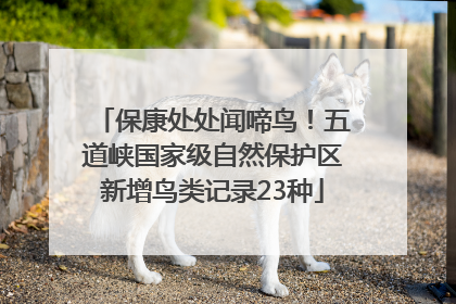 保康处处闻啼鸟！五道峡国家级自然保护区新增鸟类记录23种