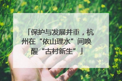 保护与发展并重，杭州在“依山理水”间唤醒“古村新生”