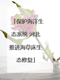 保护海洋生态系统 河北推进海草床生态修复