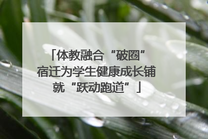 体教融合“破圈” 宿迁为学生健康成长铺就“跃动跑道”