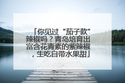 你见过“茄子款”辣椒吗？青岛培育出富含花青素的紫辣椒，生吃自带水果甜