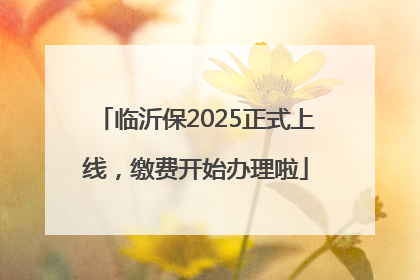 临沂保2025正式上线，缴费开始办理啦