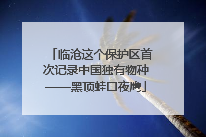 临沧这个保护区首次记录中国独有物种——黑顶蛙口夜鹰