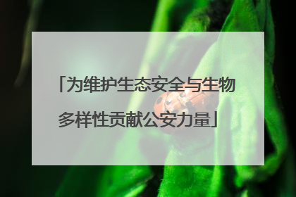 为维护生态安全与生物多样性贡献公安力量