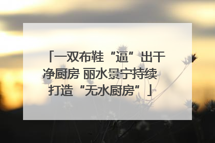 一双布鞋“逼”出干净厨房 丽水景宁持续打造“无水厨房”