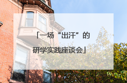 一场“出汗”的研学实践座谈会