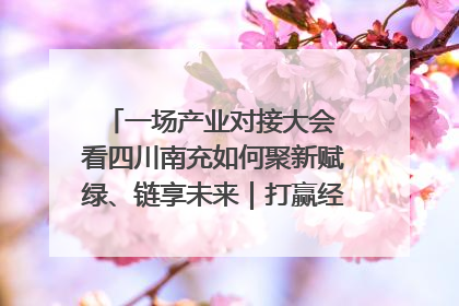 一场产业对接大会 看四川南充如何聚新赋绿、链享未来｜打赢经济发展翻身仗