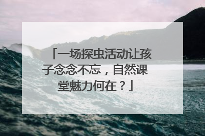 一场探虫活动让孩子念念不忘，自然课堂魅力何在？