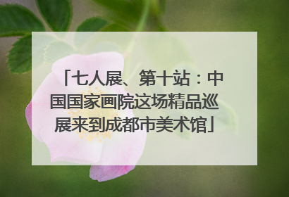 七人展、第十站：中国国家画院这场精品巡展来到成都市美术馆