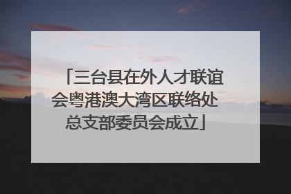 三台县在外人才联谊会粤港澳大湾区联络处总支部委员会成立