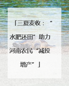 三夏麦收：“水肥还田”助力河南农民“减投增产”