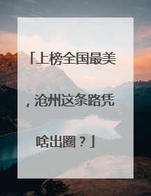 上榜全国最美，沧州这条路凭啥出圈？