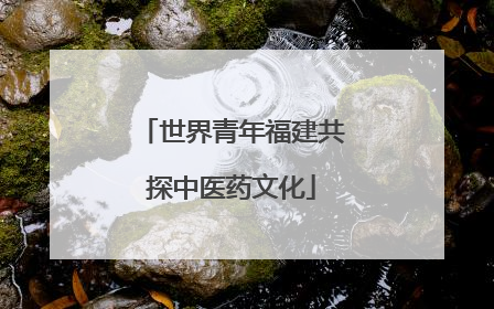 世界青年福建共探中医药文化