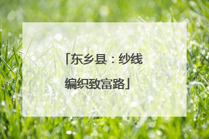 东乡县：纱线编织致富路