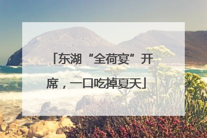东湖“全荷宴”开席，一口吃掉夏天
