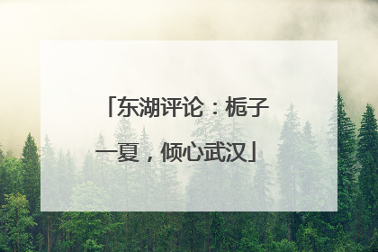 东湖评论：栀子一夏，倾心武汉