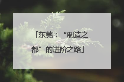 东莞：“制造之都”的进阶之路