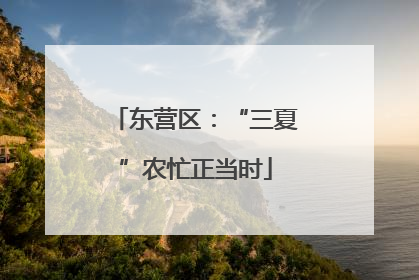 东营区：“三夏”农忙正当时