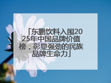 东鹏饮料入围2025年中国品牌价值榜，彰显强劲的民族品牌生命力