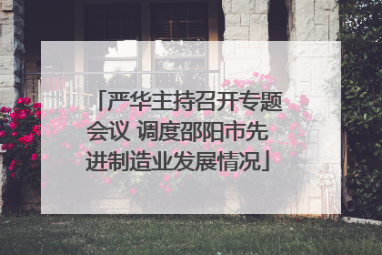 严华主持召开专题会议 调度邵阳市先进制造业发展情况