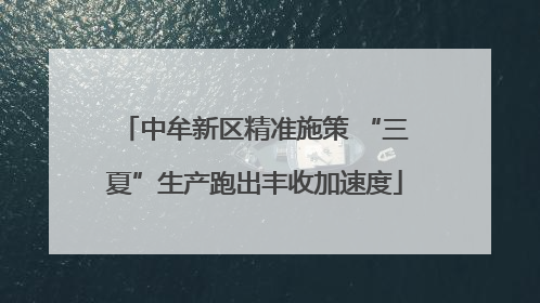 中牟新区精准施策 “三夏”生产跑出丰收加速度