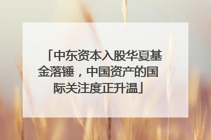 中东资本入股华夏基金落锤，中国资产的国际关注度正升温