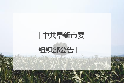 中共阜新市委组织部公告