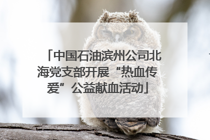 中国石油滨州公司北海党支部开展“热血传爱”公益献血活动
