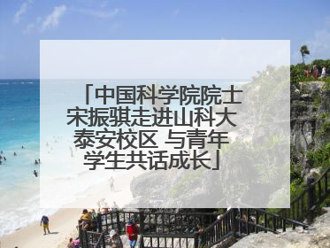 中国科学院院士宋振骐走进山科大泰安校区 与青年学生共话成长