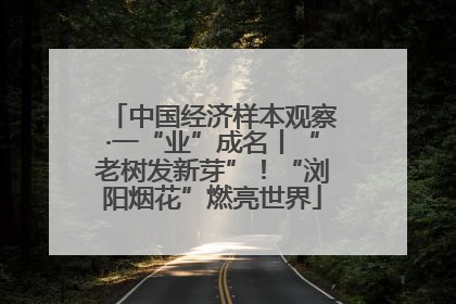 中国经济样本观察·一“业”成名丨“老树发新芽”！“浏阳烟花”燃亮世界