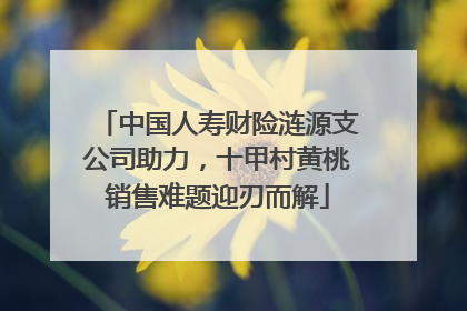 中国人寿财险涟源支公司助力，十甲村黄桃销售难题迎刃而解