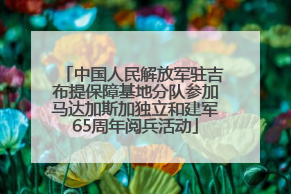 中国人民解放军驻吉布提保障基地分队参加马达加斯加独立和建军65周年阅兵活动