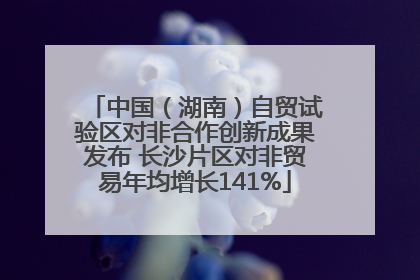 中国（湖南）自贸试验区对非合作创新成果发布 长沙片区对非贸易年均增长141%