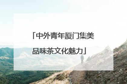 中外青年厦门集美品味茶文化魅力