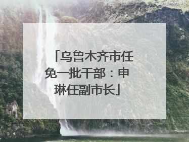 乌鲁木齐市任免一批干部：申琳任副市长