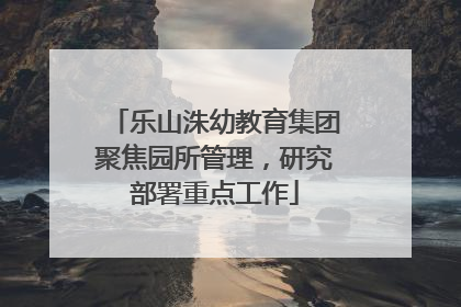 乐山洙幼教育集团聚焦园所管理，研究部署重点工作