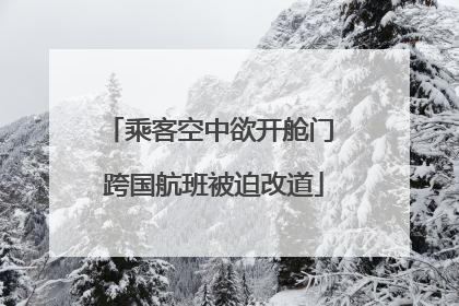 乘客空中欲开舱门 跨国航班被迫改道