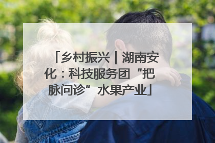 乡村振兴｜湖南安化：科技服务团“把脉问诊”水果产业
