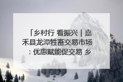 乡村行 看振兴｜嘉禾县龙潭牲畜交易市场：优惠赋能促交易 乡村振兴添动能