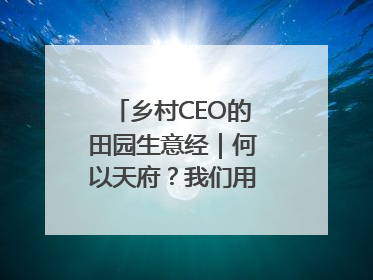 乡村CEO的田园生意经｜何以天府？我们用粮食作答④