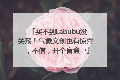 买不到Labubu没关系！气象文创也有惊喜，不信，开个盲盒→