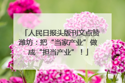 人民日报头版刊文点赞潍坊：把“当家产业”做成“担当产业”！