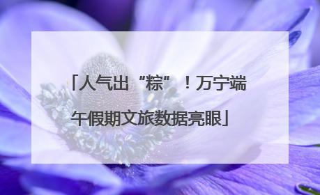 人气出“粽”！万宁端午假期文旅数据亮眼