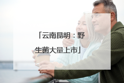 云南昆明：野生菌大量上市