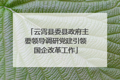 云霄县委县政府主要领导调研党建引领国企改革工作