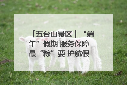 五台山景区｜“端午”假期 服务保障最“粽”要 护航假期“不打烊”