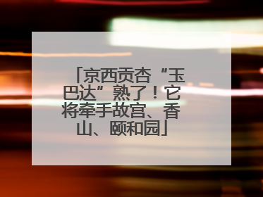 京西贡杏“玉巴达”熟了！它将牵手故宫、香山、颐和园