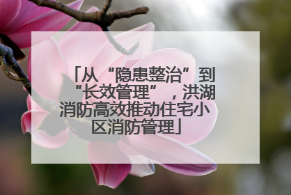从“隐患整治”到“长效管理”，洪湖消防高效推动住宅小区消防管理