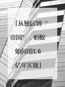 从独居到“帝国”，蚂蚁如何用1.6亿年实现